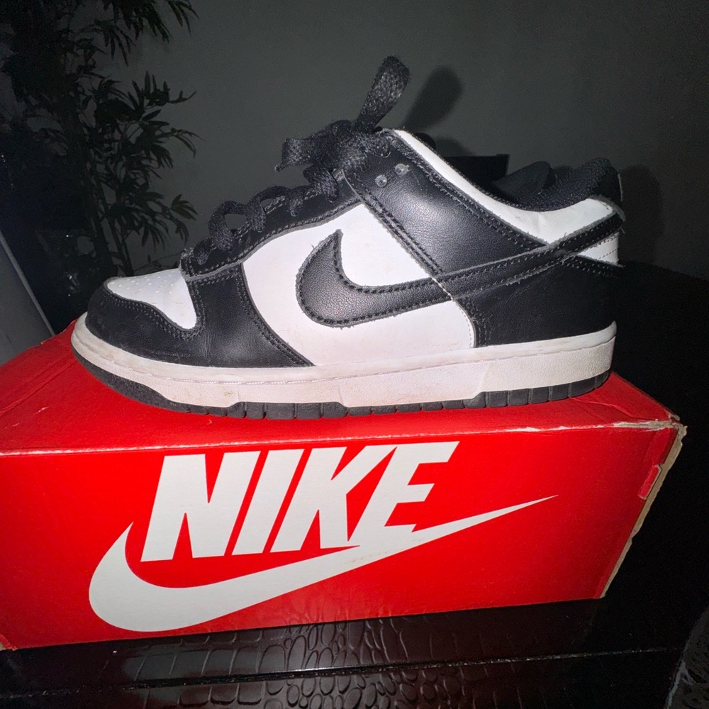 Nike dunk low